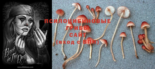 твердый Белоозёрский