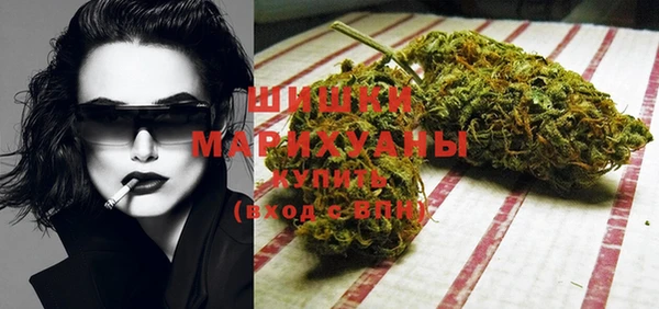 спайс Кулебаки